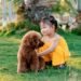 Pros and Cons of Owning a Poodle Pros and Cons of Owning a Poodle
