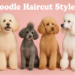 Best Poodle Haircuts: 10 Styles to Try Best Poodle Haircuts: 10 Styles to Try