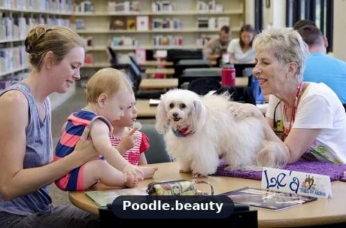 Are Poodles Good with Kids? A Family Guide