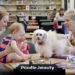 Are Poodles Good with Kids? A Family Guide